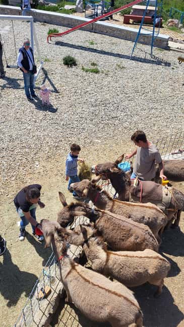Šmrika (near Rijeka/Krk/Crikvenica) Donkey Farm Family Fun - Two riding rounds for children up to 35 kilograms