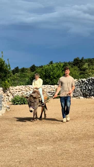 Šmrika (near Rijeka/Krk/Crikvenica) Donkey Farm Family Fun - The small carriage ride for the whole family