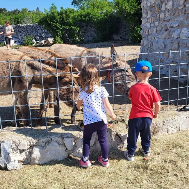 Šmrika (near Rijeka/Krk/Crikvenica) Donkey Farm Family Fun - Playground time and the Kvarner view