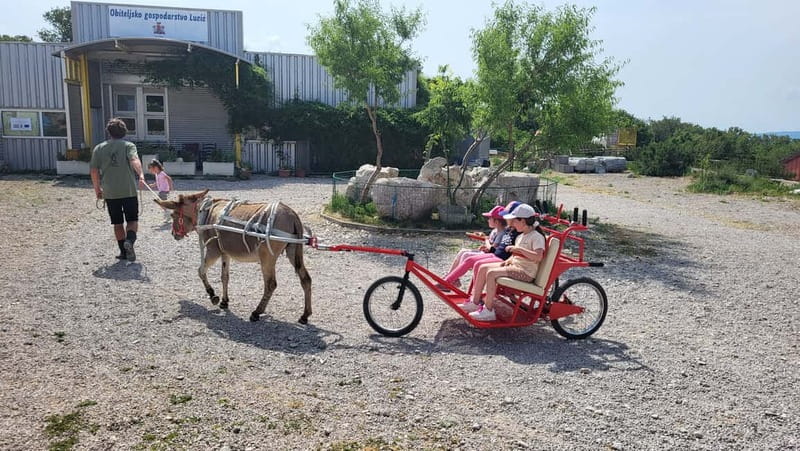 Šmrika (near Rijeka/Krk/Crikvenica) Donkey Farm Family Fun - What happens when you arrive