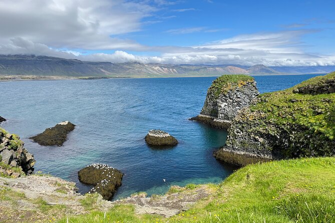 Snæfellsnes in Spanish with lunch on a farm Minibus - Djúpalónssandur and the four lifting stones