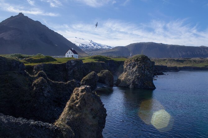 Snæfellsnes in Spanish with lunch on a farm Minibus - Ytri Tunga, where seals meet golden sand