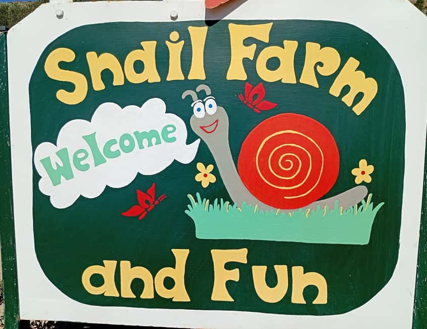 Snail and olive farm tour with table olives & homemade sweet - Key points to know before you go