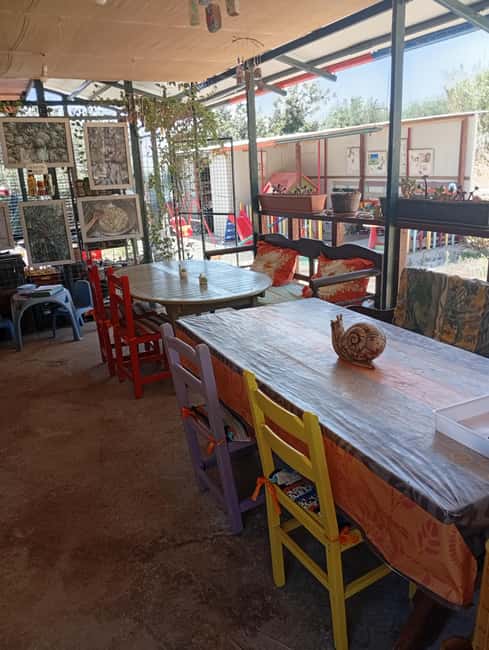 Snail and olive farm tour with table olives & homemade sweet - Walking among olive trees near Tylisos