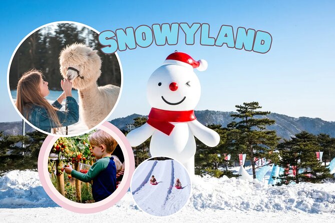 Snowyland, Strawberry Picking & Alpaca World - Quick points to know