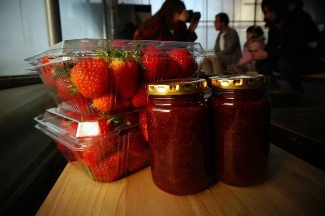 Snowyland, Strawberry Picking & Alpaca World - The pace, group size, and practical effort