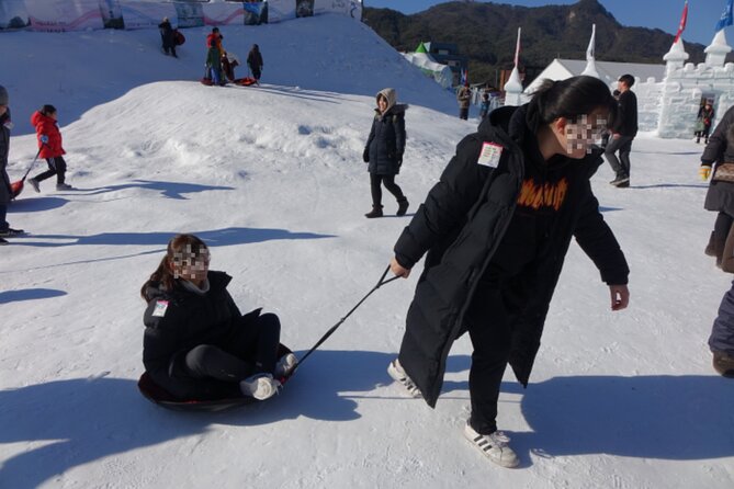 Snowyland, Strawberry Picking & Alpaca World - Alpaca World spreads across a wooded hill