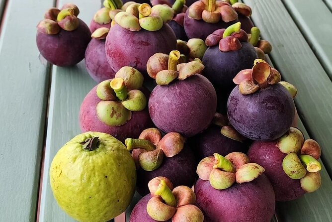 Soma Garden All Inclusive Tropical Fruit Farm Tour - One hour at Mermaid’s Pool