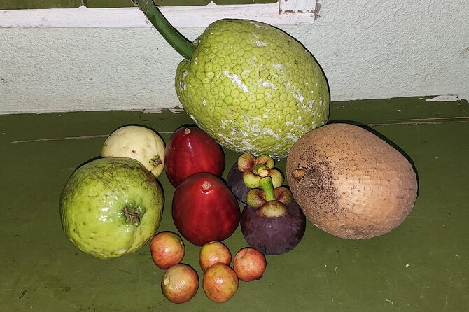 Soma Garden All Inclusive Tropical Fruit Farm Tour - Is $100 per person good value?