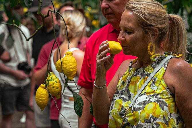 Sorrento Ape Tour, Lemon Garden, Mozzarella Show & Pizza Class - Why this Sorrento food tour works