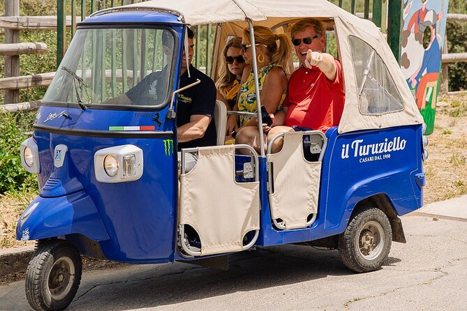 Sorrento Ape Tour, Lemon Garden, Mozzarella Show & Pizza Class - Schiazzano and the first taste of Sorrento lemons