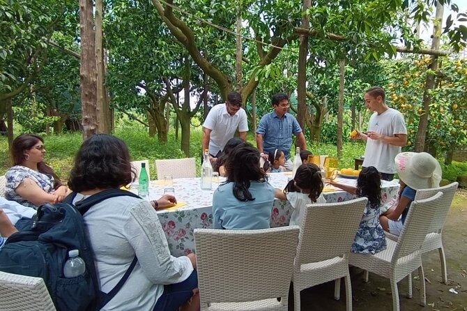 Sorrento: Authentic Lemon Experience at a Farm with Tastings - Marmalade and limoncello at the finish