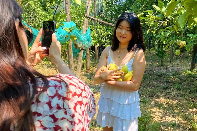 Sorrento: Authentic Lemon Experience at a Farm with Tastings - Why the small group size matters