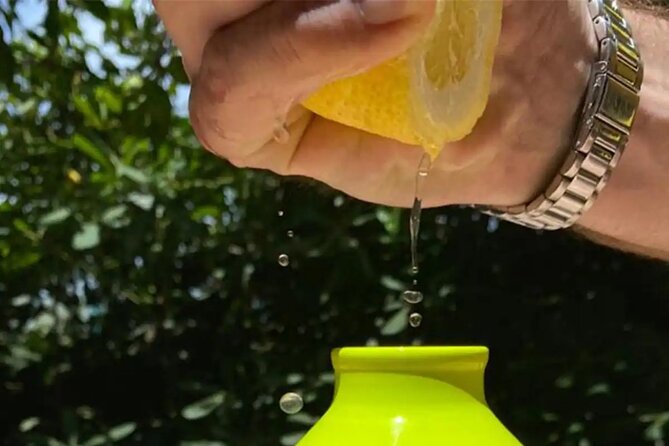 Sorrento: Authentic Lemon Experience at a Farm with Tastings - Getting to Via dei Platani in Piano di Sorrento