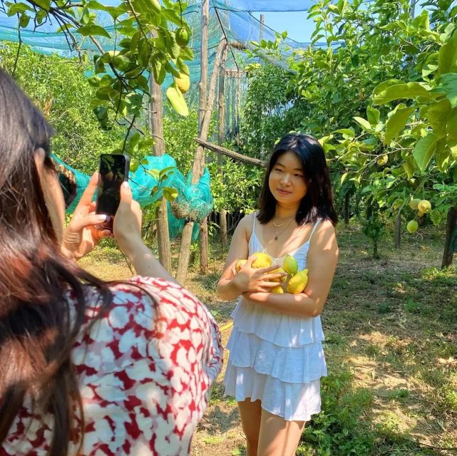 Sorrento: Authentic Lemon Experience in a Farm with Tastings - Learning what makes the Sorrento lemon special