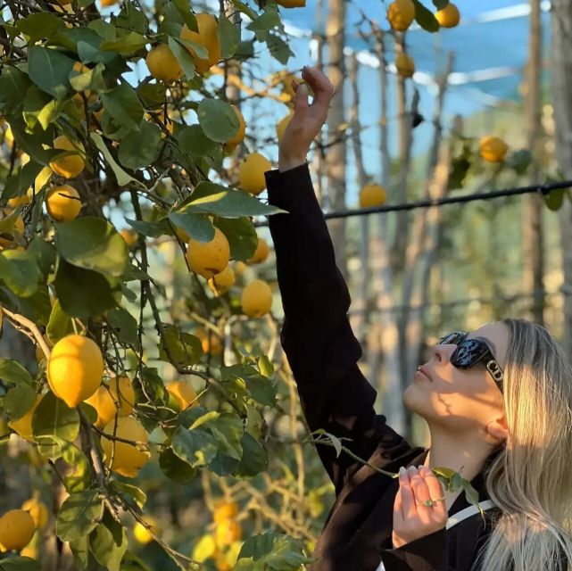 Sorrento: Authentic Lemon Experience in a Farm with Tastings - What the 90-minute schedule feels like