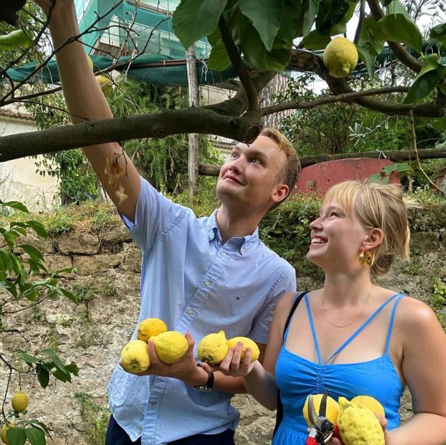 Sorrento: Authentic Lemon Experience in a Farm with Tastings - Who will enjoy this most