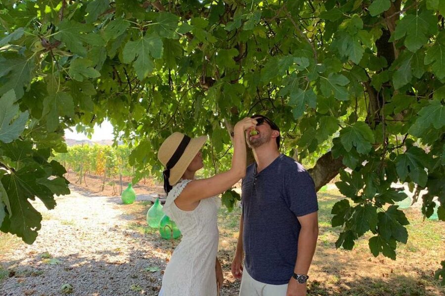 Sorrento: Family Farm Experience with Lunch - Leaving Sorrento for the family farm