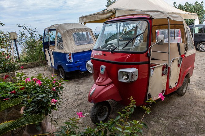 Sorrento Farm by Tuk Tuk: Cheese, Limoncello & Hands-On Pizza - Making Neapolitan pizza from scratch