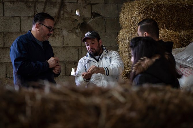 Sorrento Farm by Tuk Tuk: Cheese, Limoncello & Hands-On Pizza - How much value do you get for $211.02?