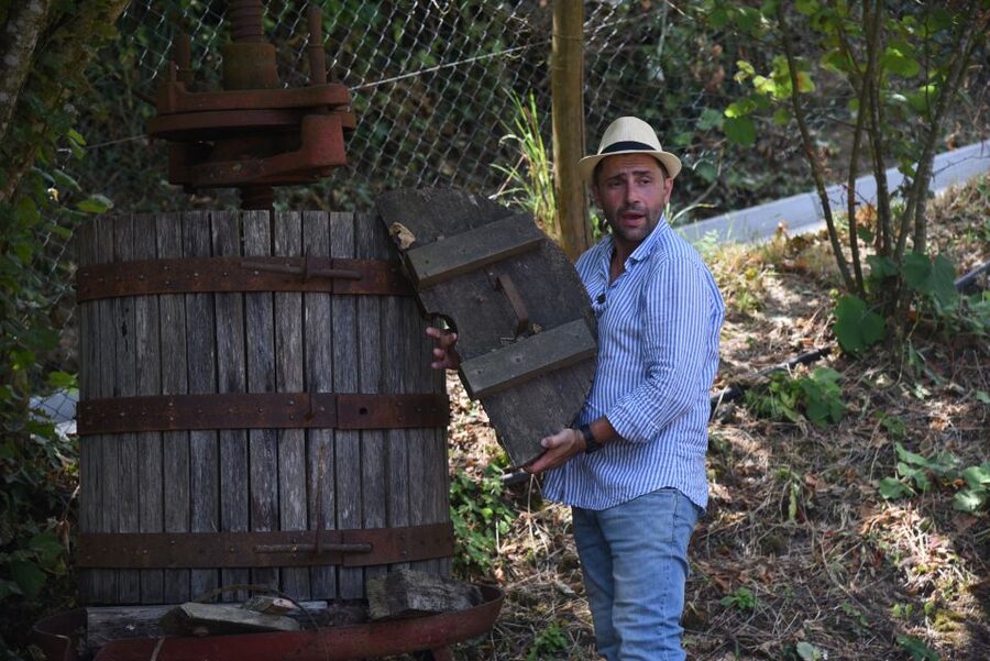 Sorrento: Farm Tour with Cheese Tasting & Pizza Making Class - Should you book Primaluce?