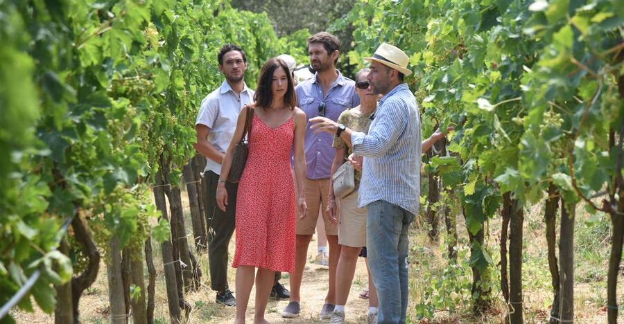 Sorrento: Farm Tour with Cheese Tasting & Pizza Making Class - A working farm above the Gulf of Naples