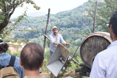 Farm Tour with Cheese Tasting & Pizza Making Class