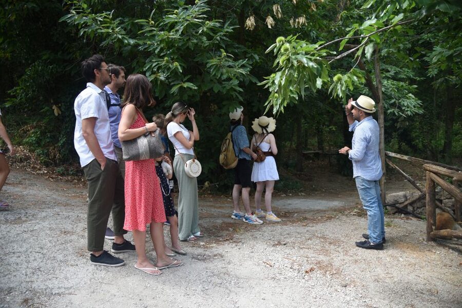 Sorrento: Farm Tour with Cheese Tasting & Pizza Making Class - Making pizza with Francesco’s daughters