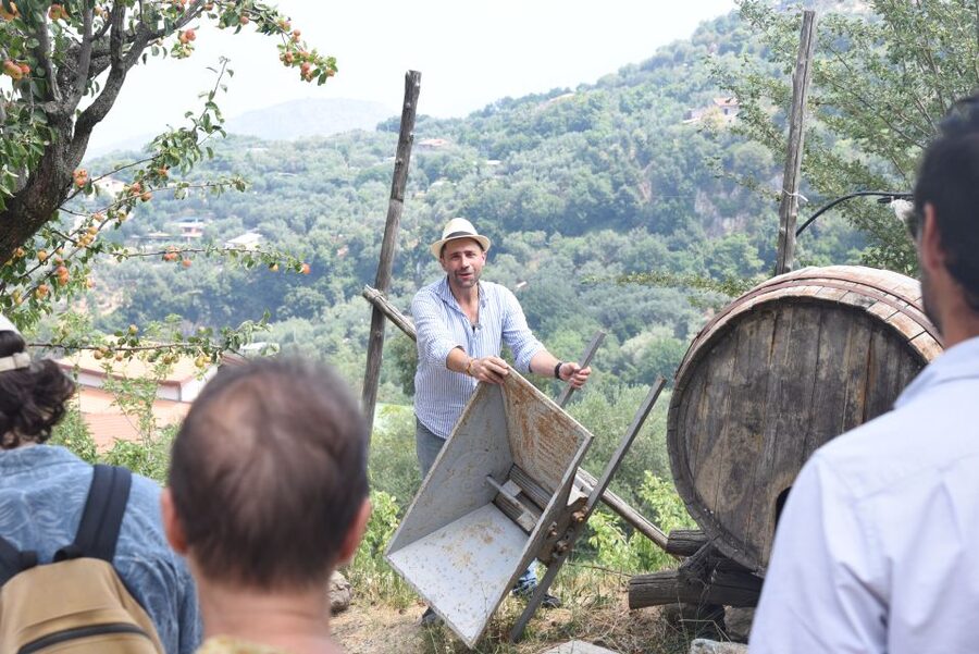 Sorrento: Farm Tour with Cheese Tasting & Pizza Making Class - Walking through lemons, grapes, olives, and seasonal crops
