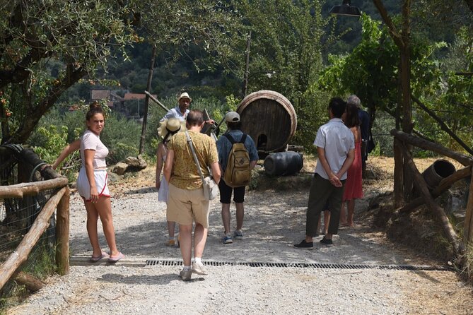 Sorrento Half-Day Farm Experience: Pizza, Cheese Making and Wine - Lemon groves, lemonade, and limoncello