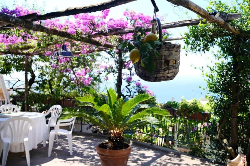 Sorrento: Marì Cooking Class in a Family Farm w/ Coast View - A welcome from Marì and her family