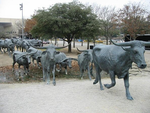 Southfork Ranch and Dallas/JFK Highlights Tour - Key points to know before booking