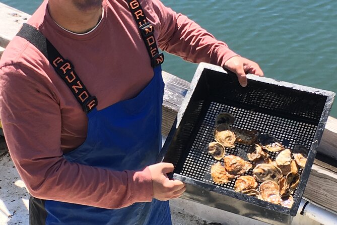 Southold Bay Oyster Farm Tour - Stop 1: Shellfisher Preserve and the first look at farm life