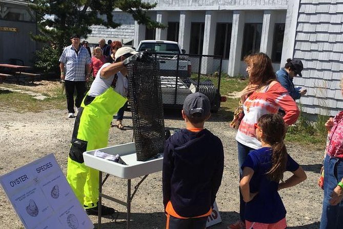 Southold Bay Oyster Farm Tour - Practical details that affect your day