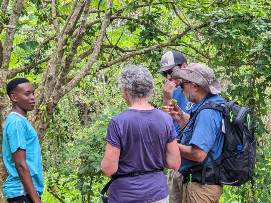 Spice Farm Bike Tour: Pedal Through Aromatic Adventures - A 14-kilometer ride out of Stone Town