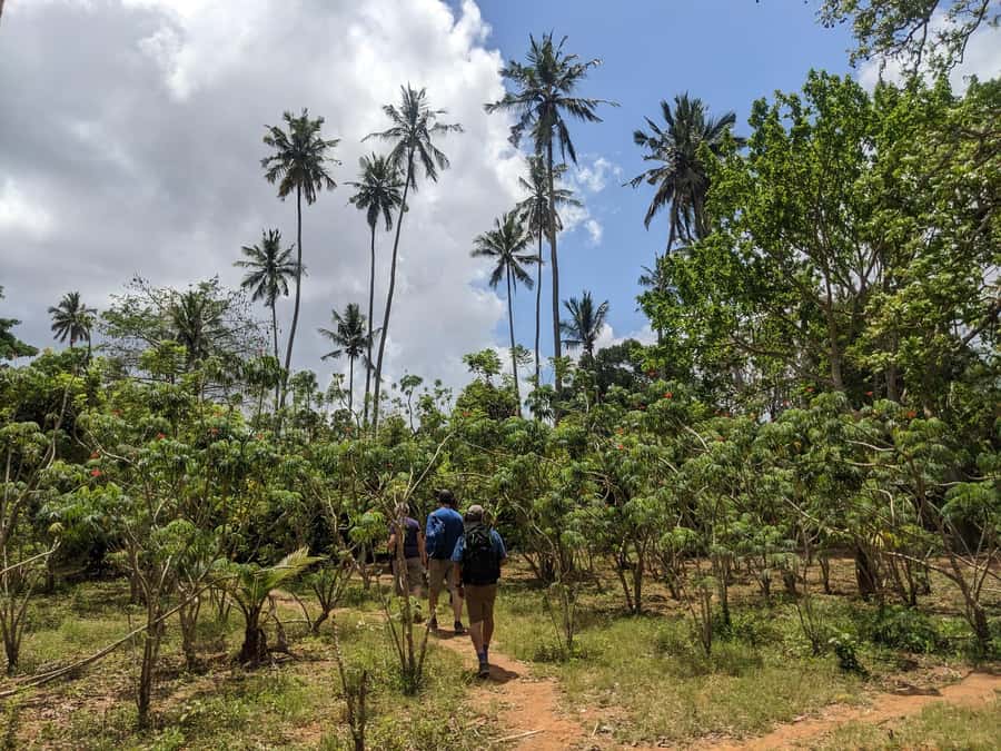 Spice Farm Bike Tour: Pedal Through Aromatic Adventures - FAQ