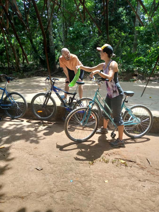 Spice Farm Bike Tour: Pedal Through Aromatic Adventures - Masingini Forest and the ride home
