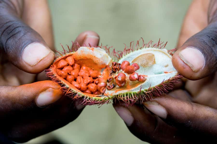 Spice Farm - spice up your life in Zanzibar - A Swahili lunch cooked at the farm
