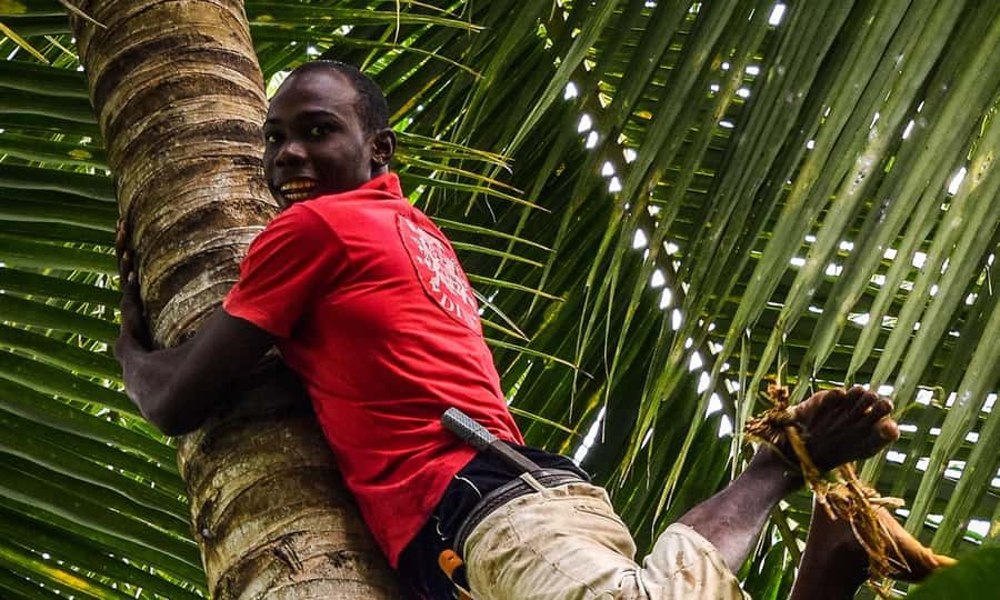 Spice farm,Stone town and Jozani forest tour with lunch - What to bring and what to know