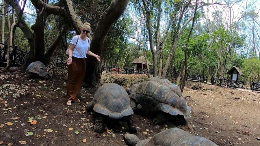 Spice farm,Stone town and Jozani forest tour with lunch - What you will actually do at the farm