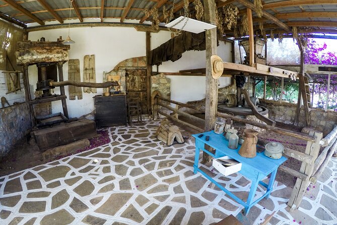 Spiridi Olive Oil Farm Tour - The shop and local products