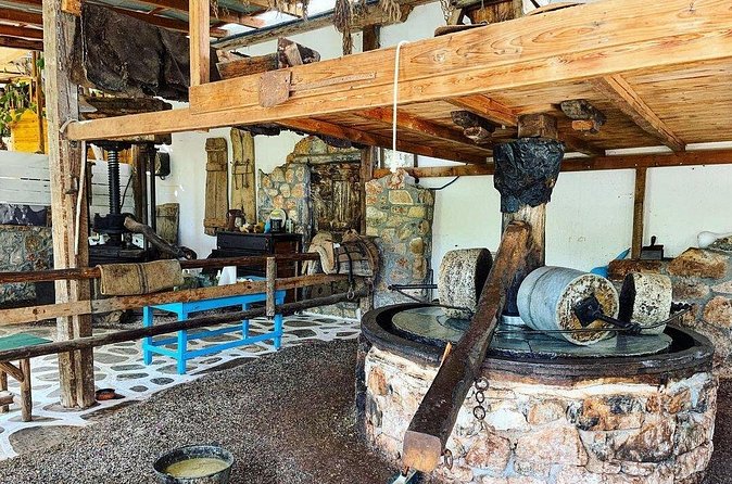 Spiridi Olive Oil Farm Tour - Price, timing, and getting there