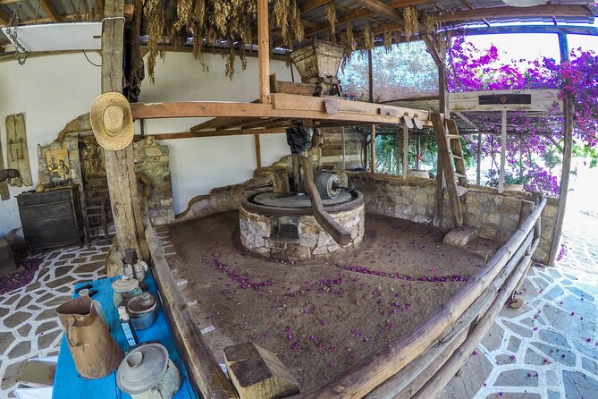 Spiridi Olive Oil Farm Tour - The traditional olive oil museum and its old press