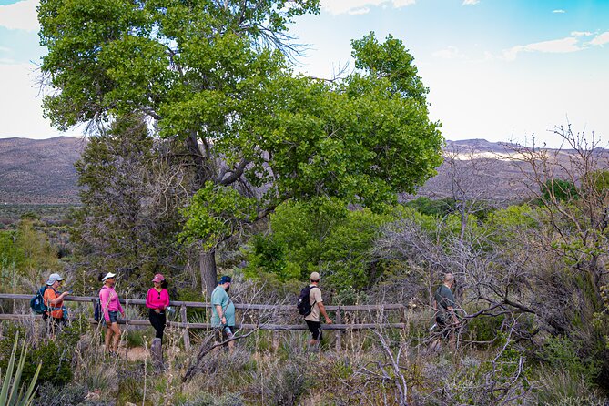 Spring Mountain Ranch Hike with Happy Hour Drinks - Key points to know before booking