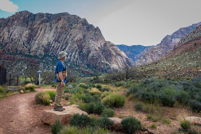 Spring Mountain Ranch Hike with Happy Hour Drinks - Why the guide matters here