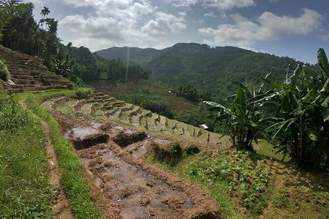 Sri Lanka All Inclusive Day Tour: Hiking & Activities Farmers Village Kandy - Poddalgoda: village lunch beside cultivated land