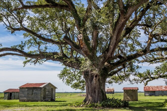 St. Joseph and Felicity Plantation Combo Tour - The cabins and outbuildings change the story