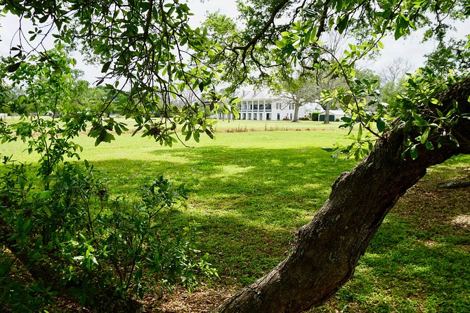 St. Joseph Plantation Tour - The sugar industry comes first