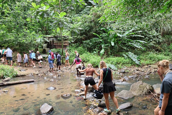 St Lucia ATV Tour : Waterfall, Plantation, Beach and Distillery - Learning island farming with Farmer Peter