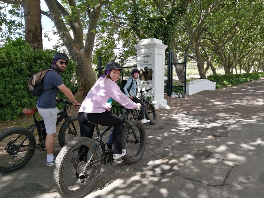 Stellenbosch: Wine Farm E-Bike Guided Tour - Key Points Before You Book